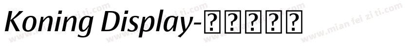 Koning Display字体转换